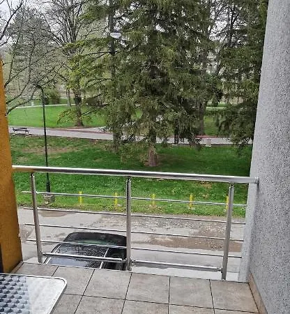 Banjica 索科矿泉村