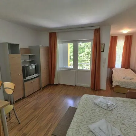 Banjica 招待所 索科矿泉村